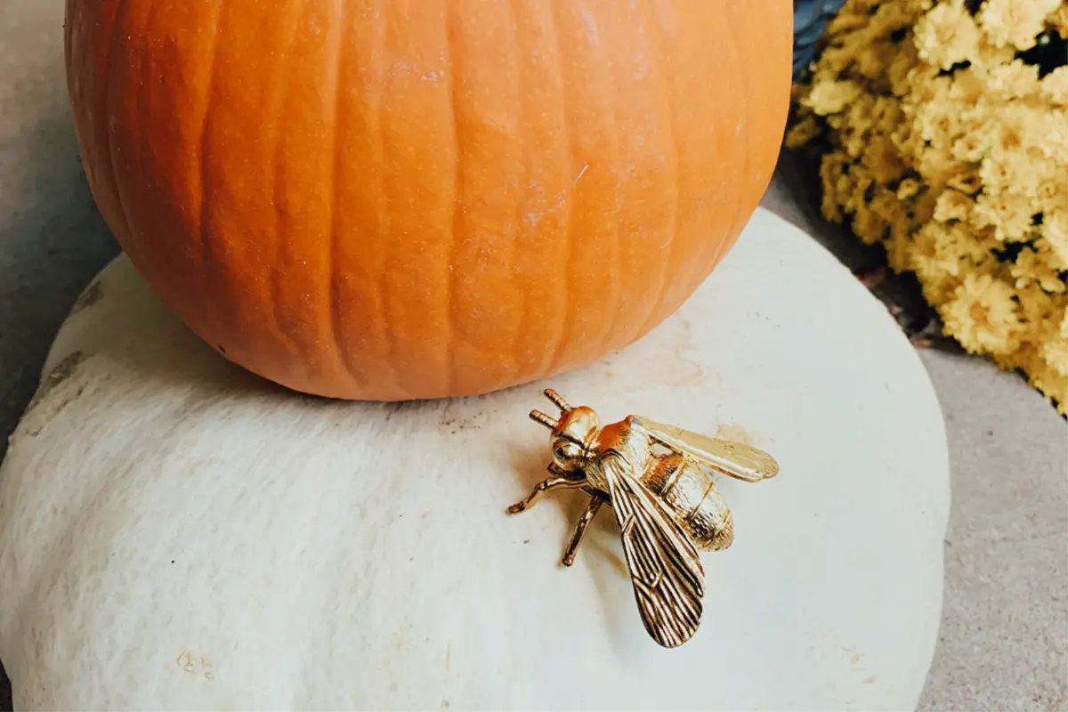 The Things That Haunt Your Home