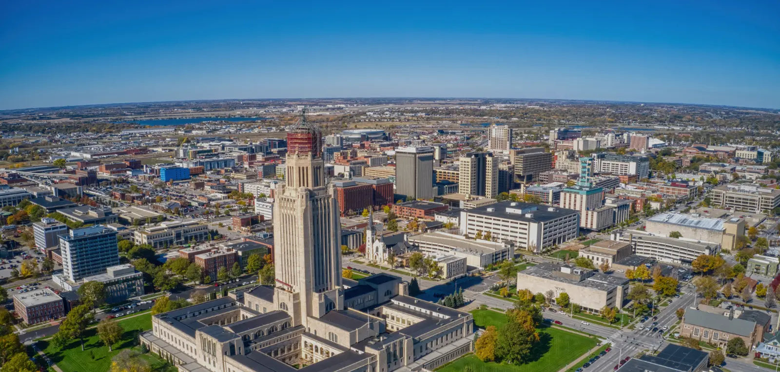 Bee Organized Lincoln banner