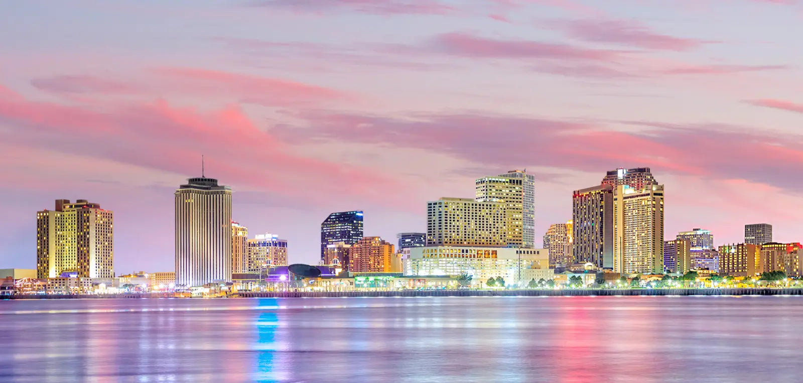 Bee Organized New Orleans banner