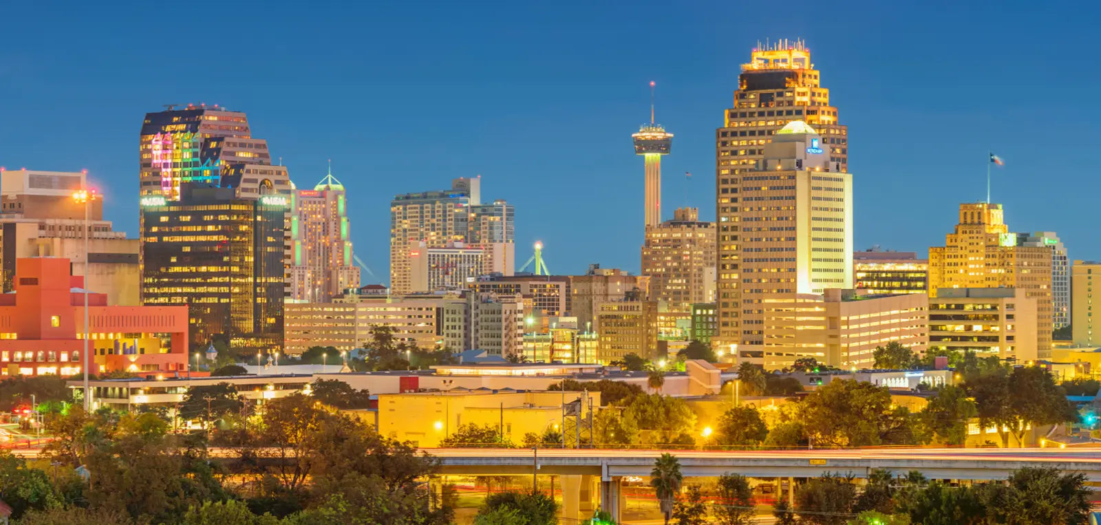 Bee Organized San Antonio banner