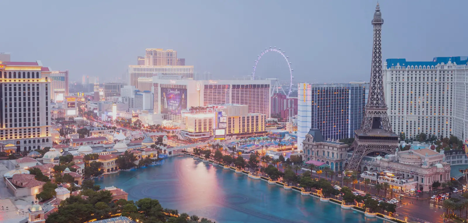 Bee Organized Las Vegas-Summerlin banner