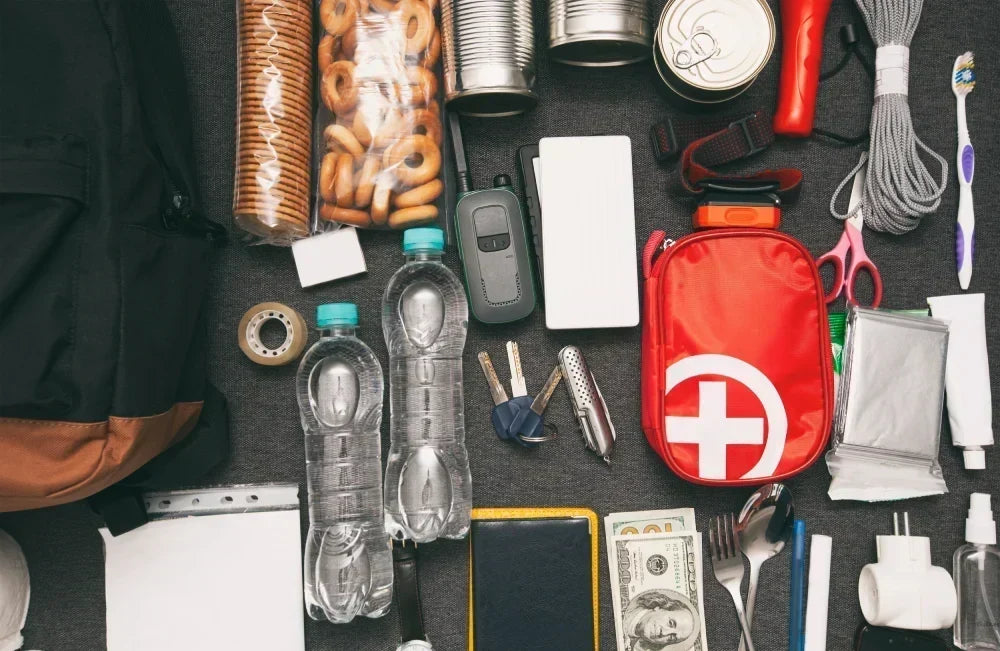 Don’t Be Scared … BEE Prepared:  6 Steps for Getting Ready for an Emergency