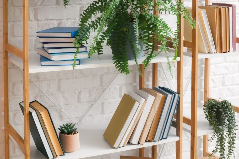 Better Book Organization: How to Declutter and Organize Your Book Collection