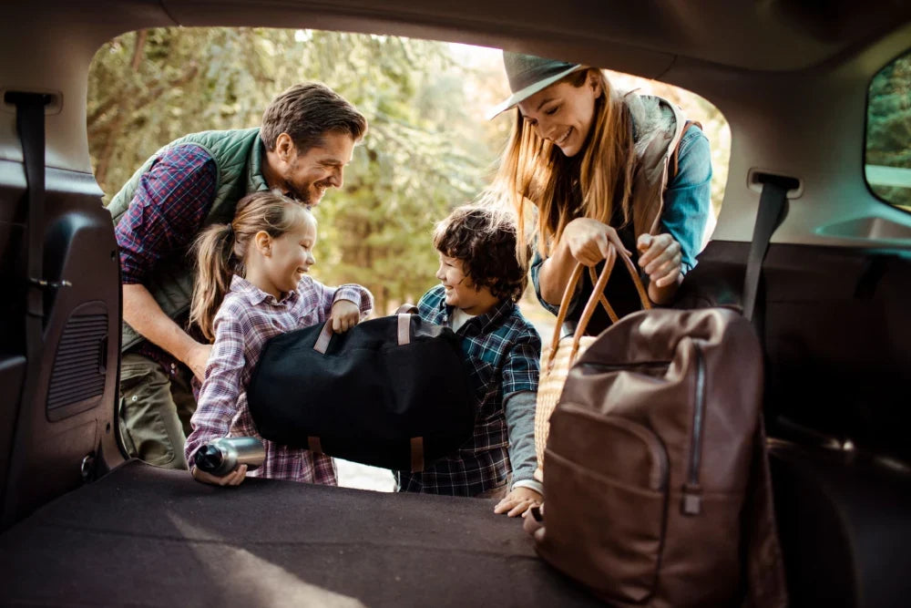 Road Trip Ready: Organization Strategies for Smooth Travels