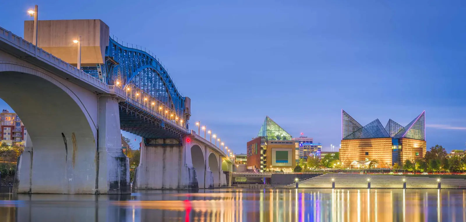 Bee Organized Chattanooga banner